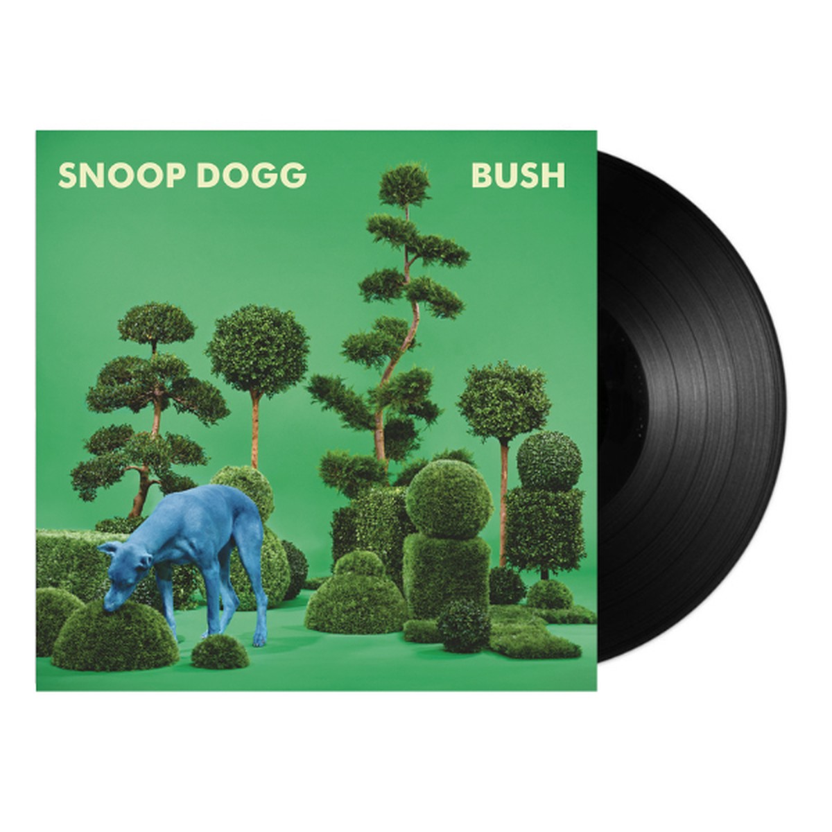 Bush (LP)