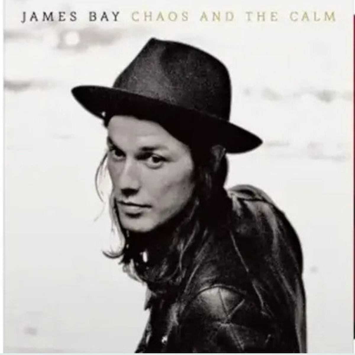 BAY, JAMES – CHAOS & THE CALM (ALTERNATE COVER): RED – LP