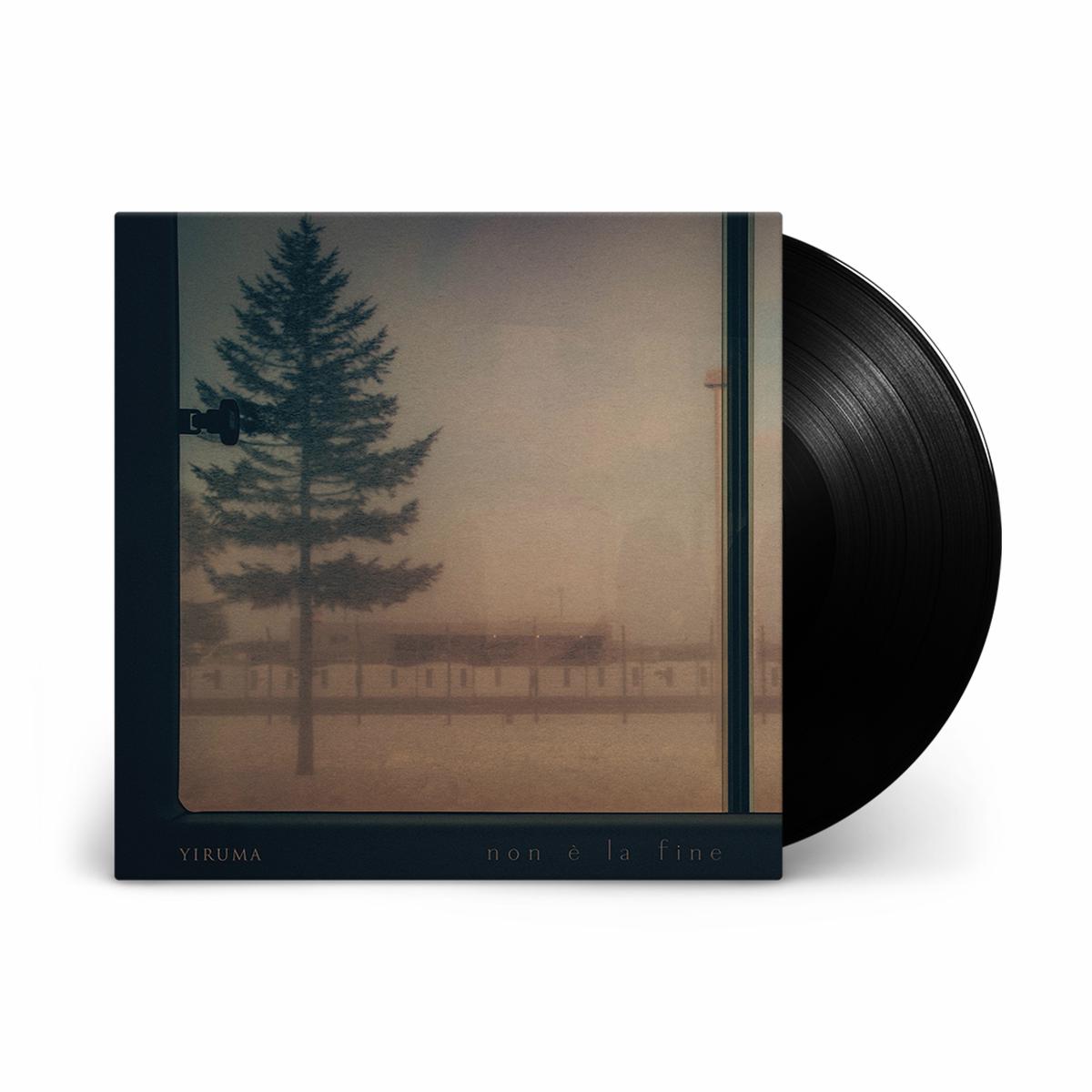 Non  la fine : Vinyl LP