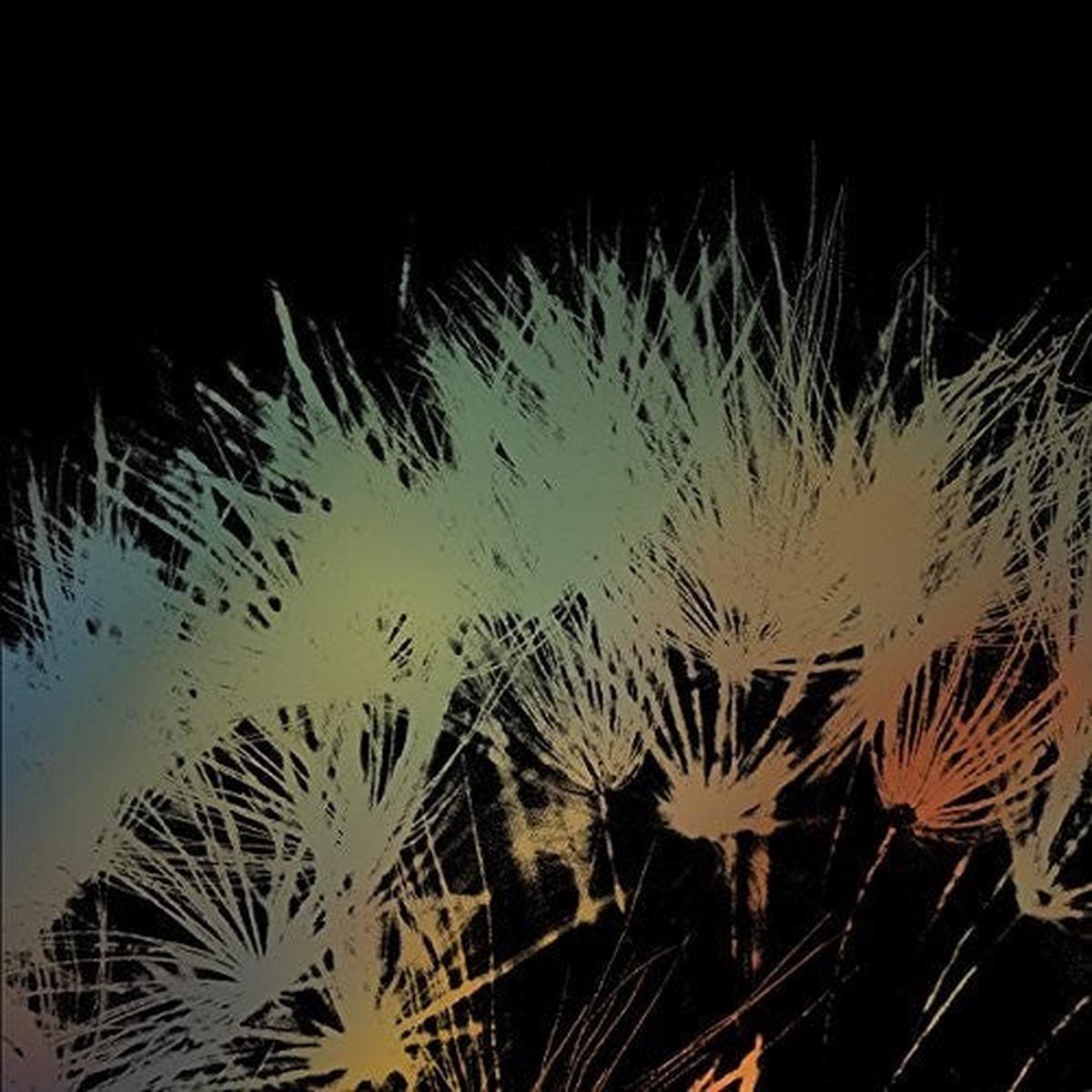 Andrew Paley: Sirens – VINYL LP