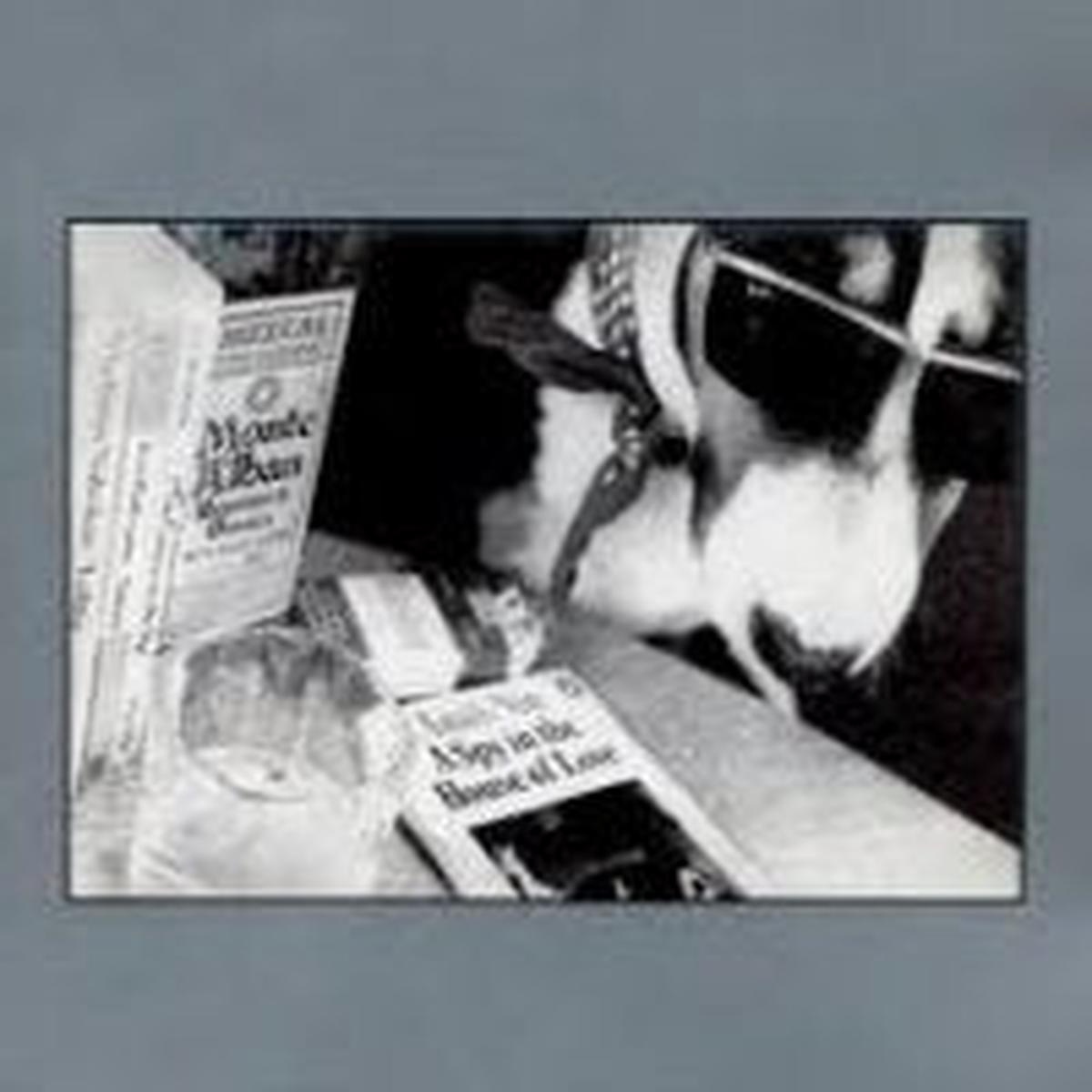 HOUSE OF LOVE – A Spy In The House Of Love