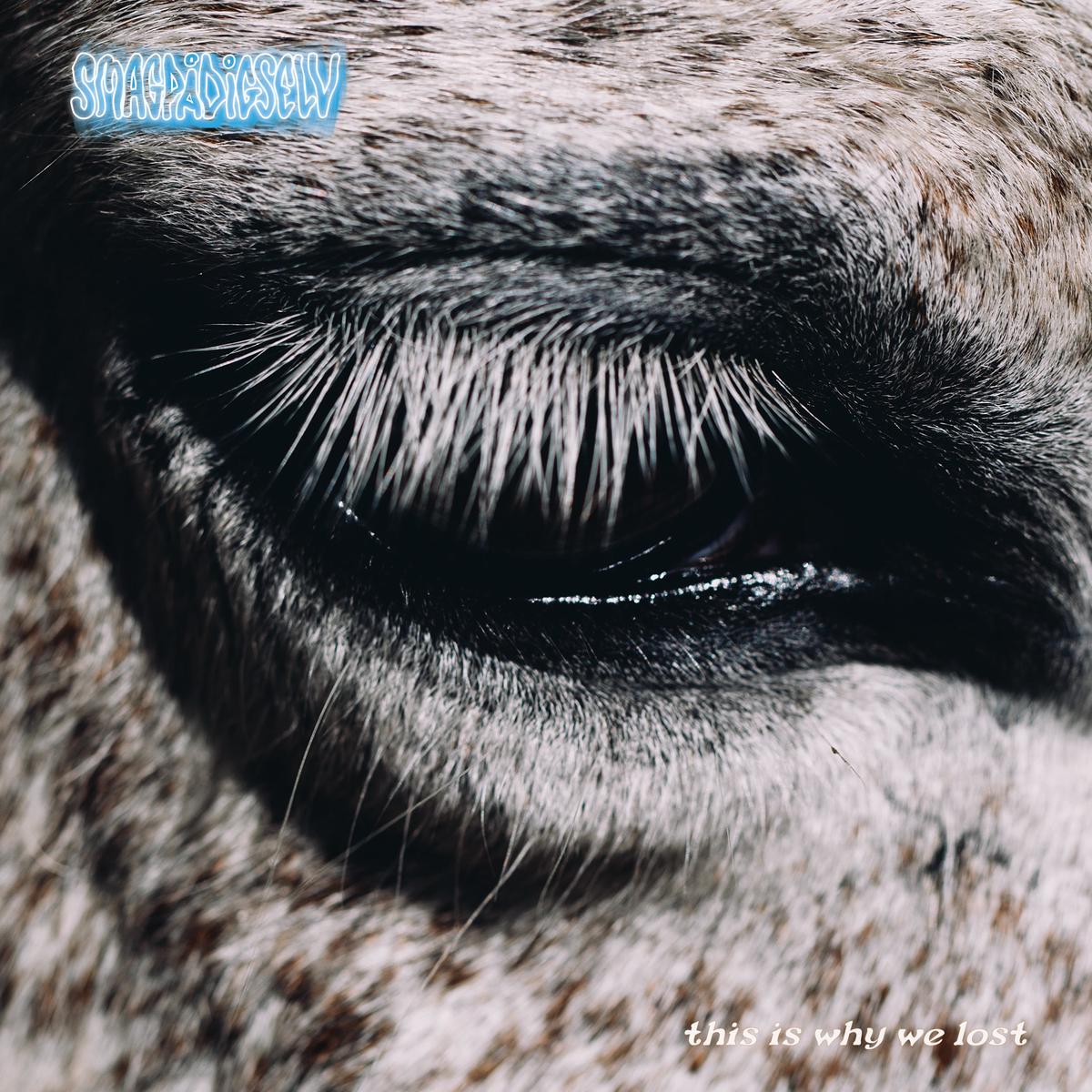Smag P Dig Selv – This Is Why We Lost (Black Vinyl) (LP)