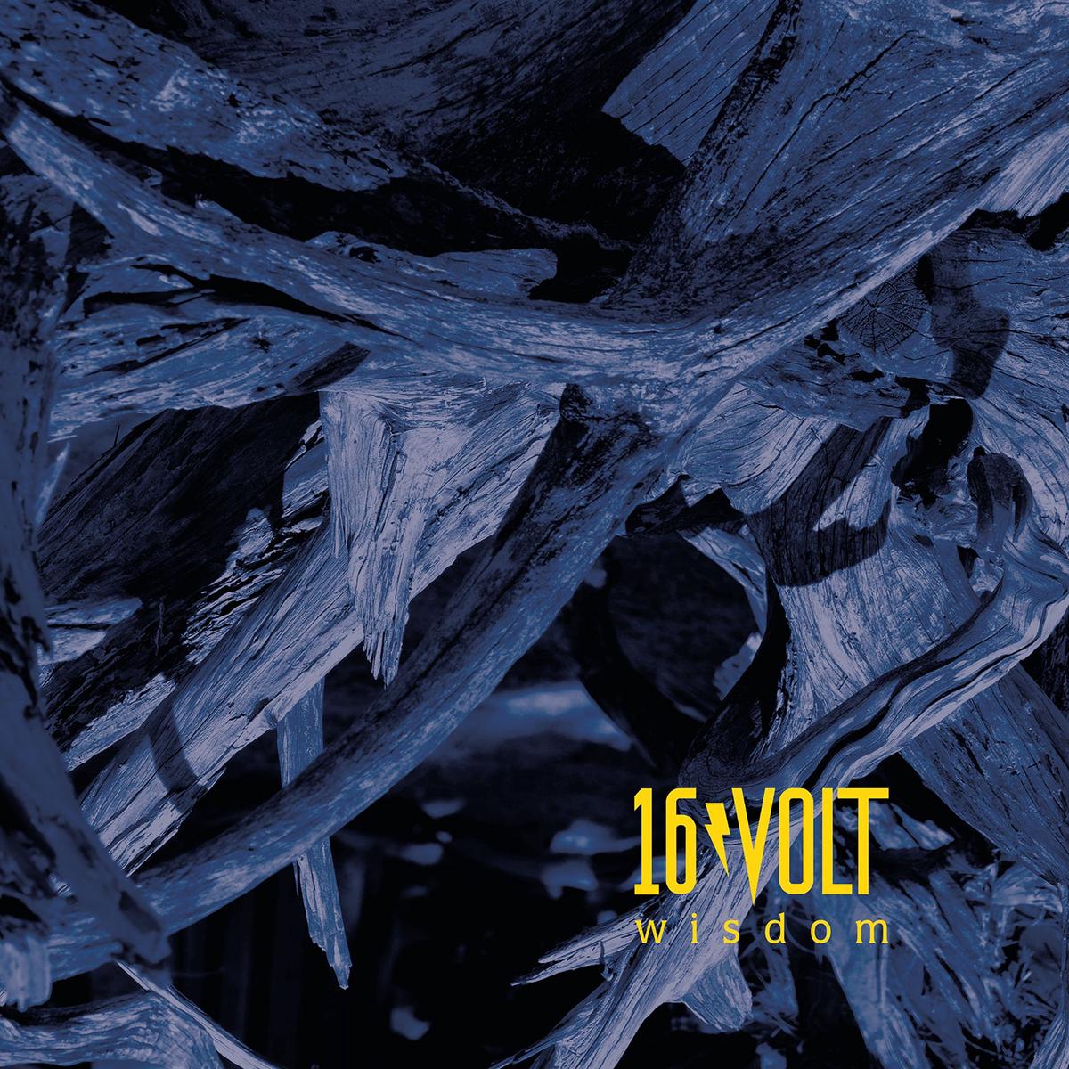 16volt - Wisdom [Limited Edition Vinyl] (LP)