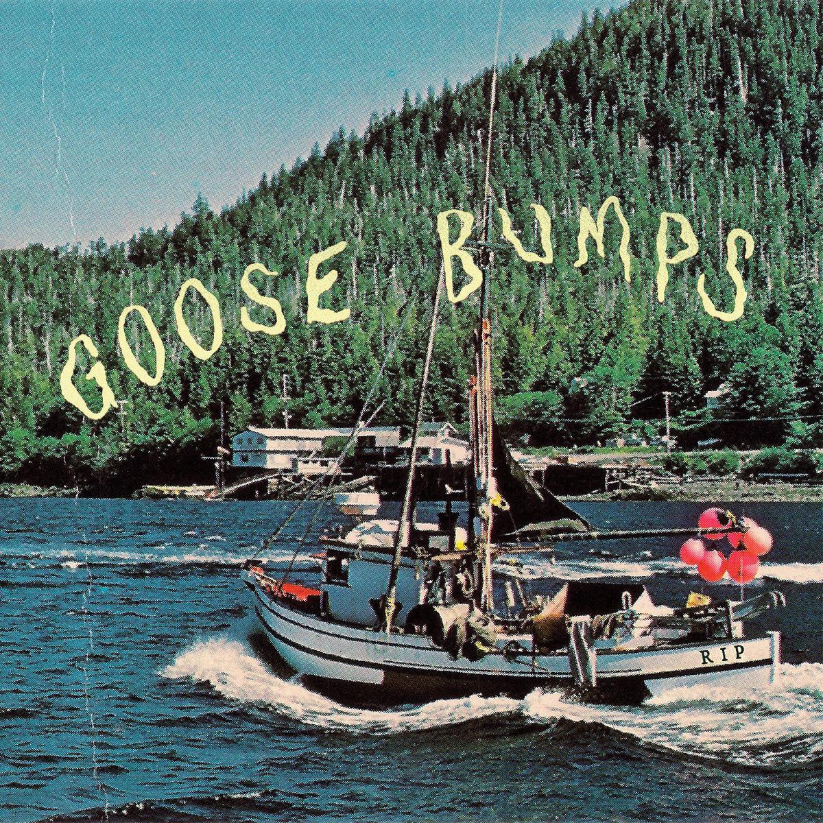 (PRE-ORDER 2/20/26) Goose Bumps (Bluue Marble Vinyl) | Mint (M) Mint (M) - - ALT/INDIE *NEW/COLOR*