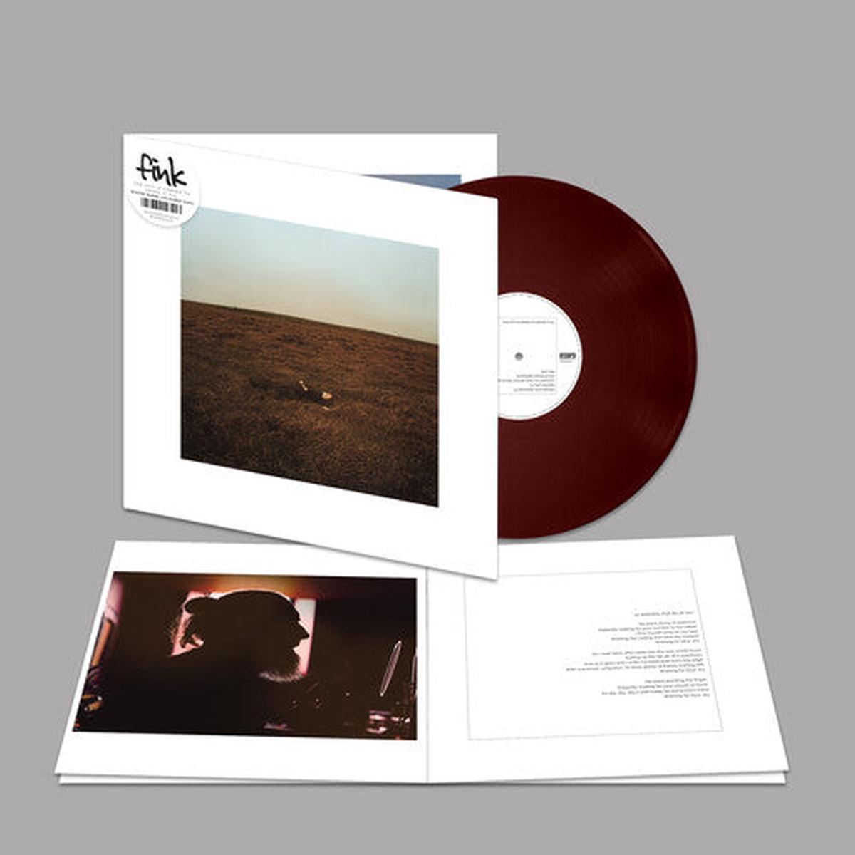 (PRESALE 6/5/26) The City Is Coming to Erase It All (BOOKLET BROWN VINYL) | Mint (M) Mint (M) - - ALT/INDIE *NEW/COLOR*